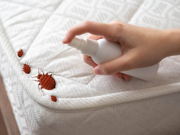 Insect Control in Glencoe, AL