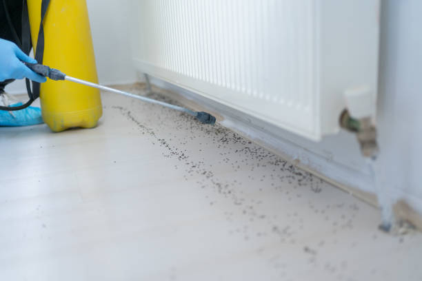 Pest Prevention Services in Glencoe, AL